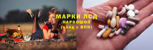 тгк Майский