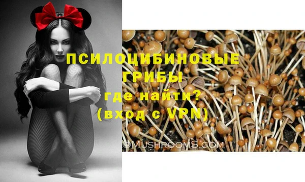 ГАЛЛЮЦИНОГЕННЫЕ ГРИБЫ Лихославль