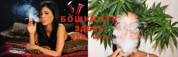 тгк Майский
