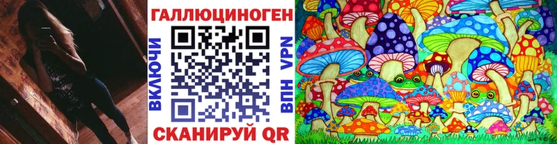 Галлюциногенные грибы Psilocybe  Купить где  Лагань 