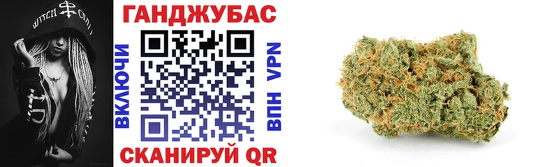Купить закладки  Лагань  Каннабис сатива 